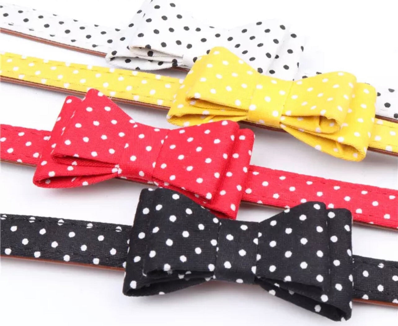 Luxury Little Pup Collar