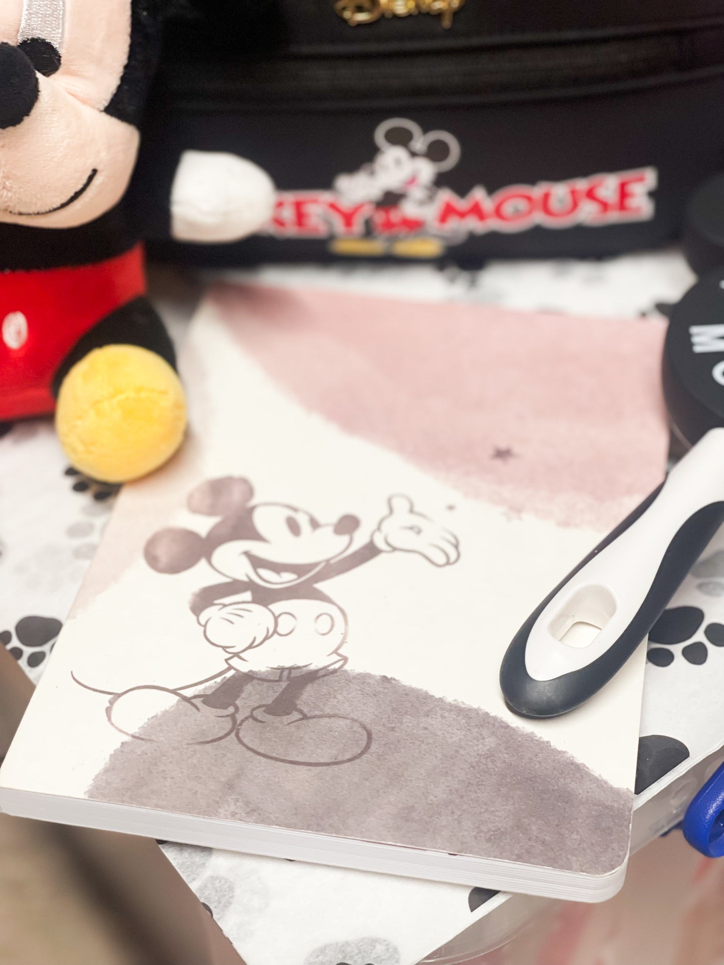 Mickey Mouse box
