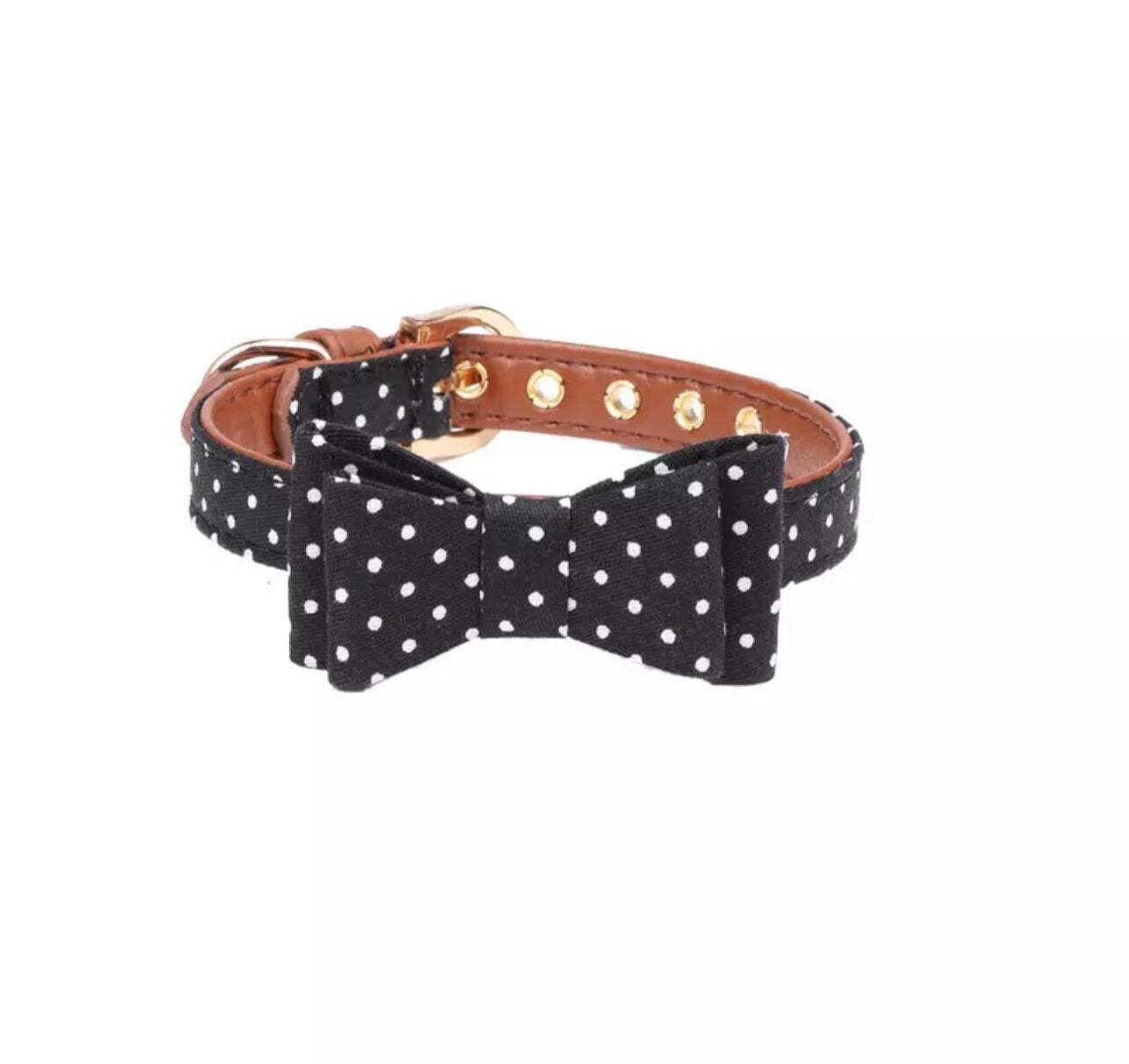 Luxury Little Pup Collar