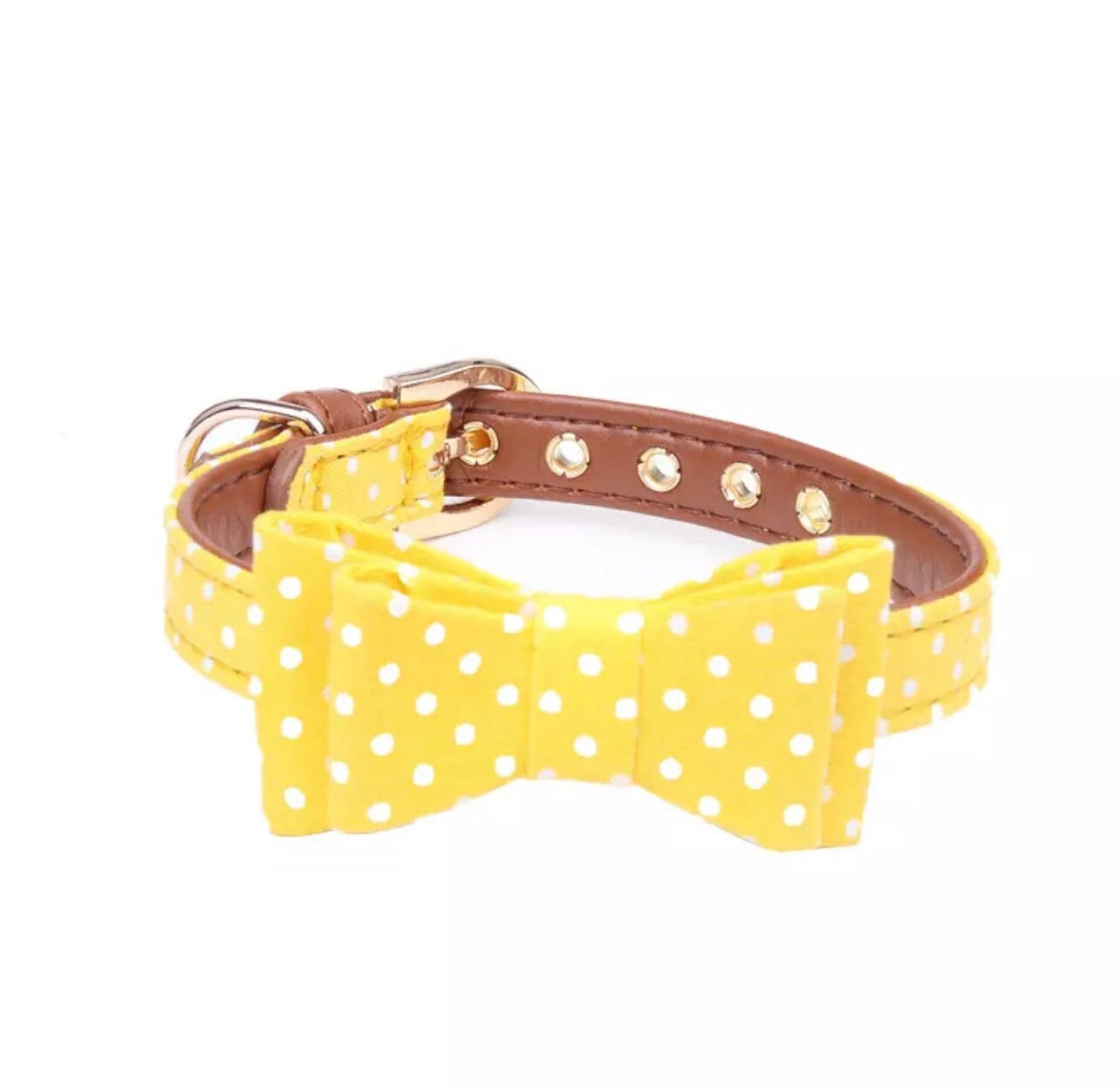 Luxury Little Pup Collar