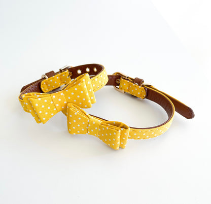 Luxury Little Pup Collar