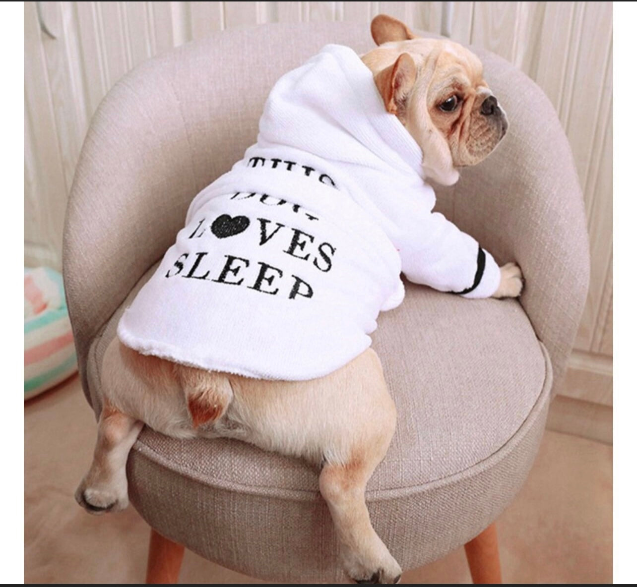 Little Pup Housecoat