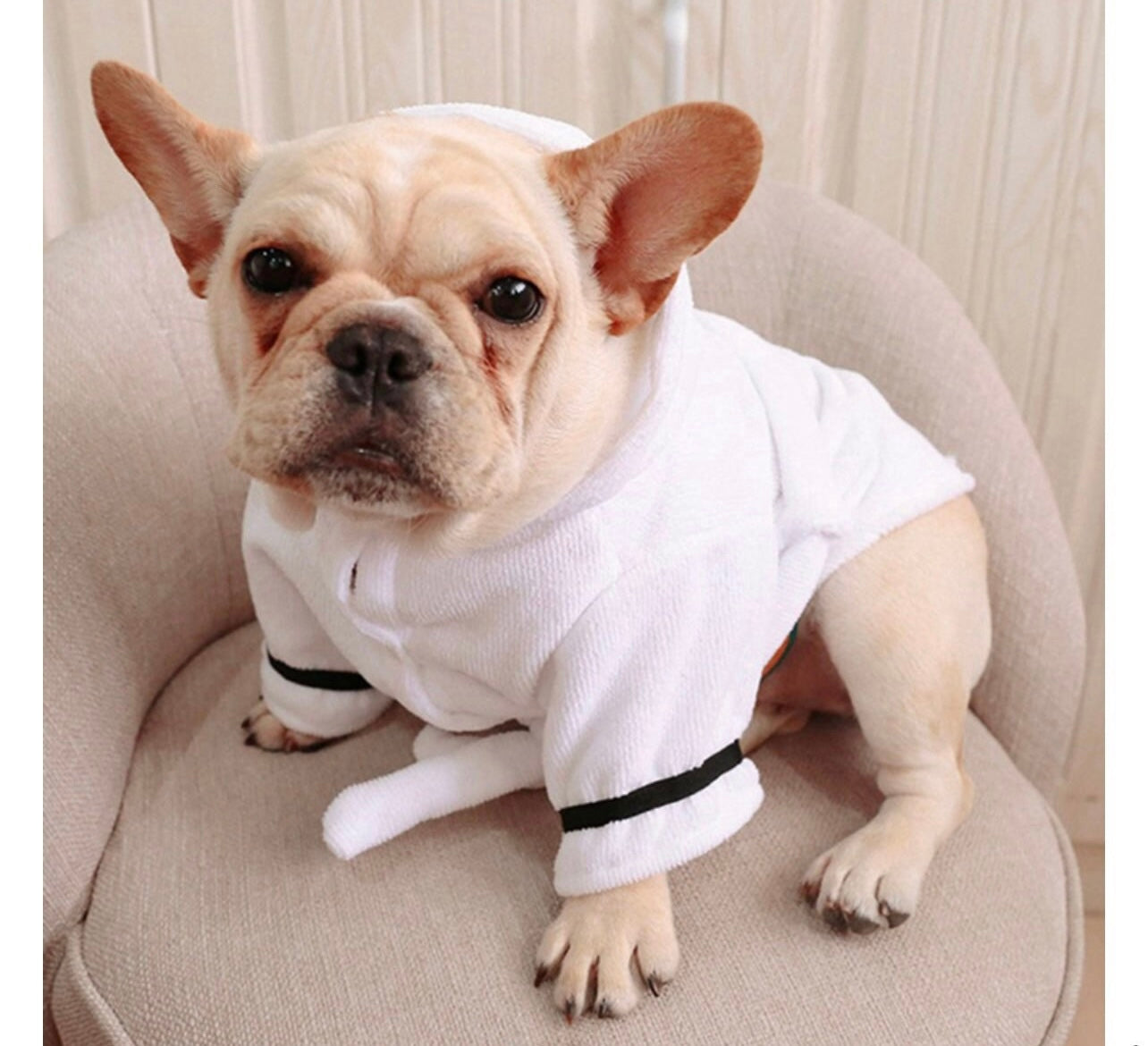 Little Pup Housecoat