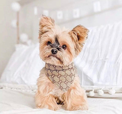 Designer Bandanas